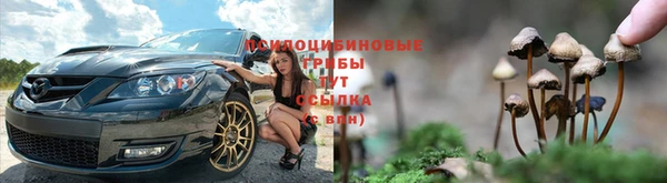 эйфоретик Осинники