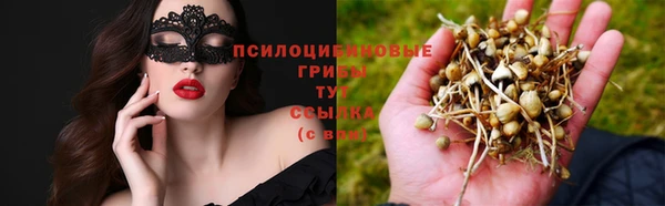эйфоретик Осинники
