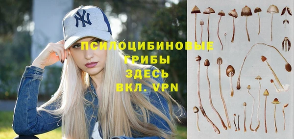 mdpv Нягань