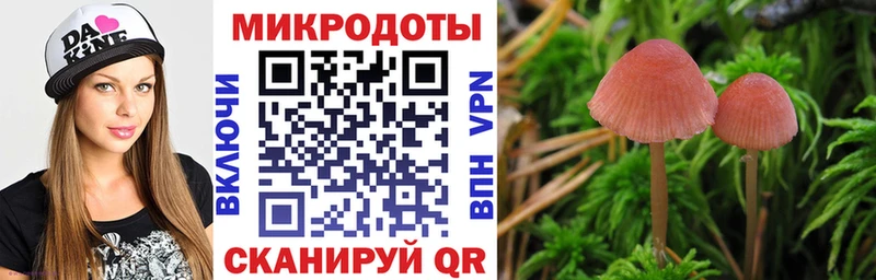 Псилоцибиновые грибы прущие грибы наркота Катайск